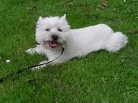 Klik op de foto voor groter formaat